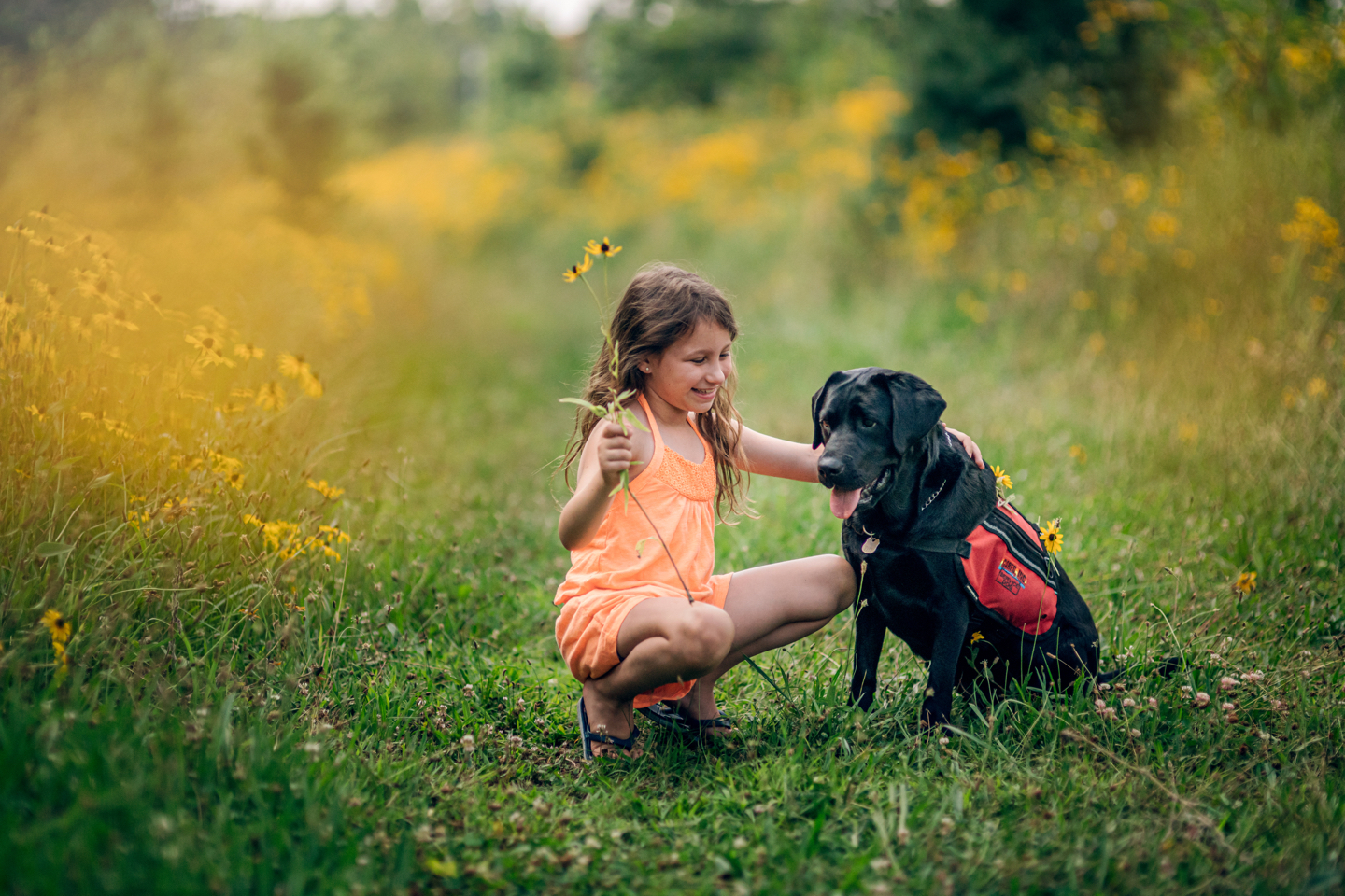 A child and dog sitting in a field with green grass and yellow flowers.